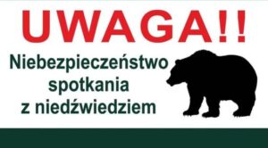 uwaga niebezpieczeństwo spotkania z niedźwiedziem