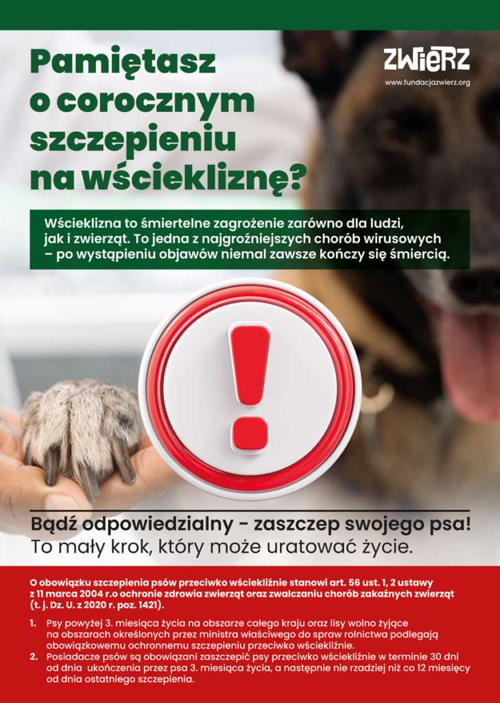 Plakat przypominający o corocznym szczepieniu psów na wściekliznę.