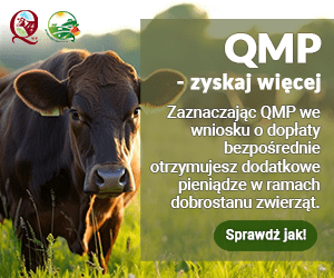 Plakat QMP - Zyskaj więcej