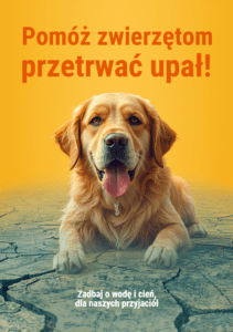 Napis: "Pomóż zwierzętom przetrwać upał!", poniżej postać psa